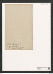Synedra sp. (de-Toni-Nr.: Genus 66) Zeichnungen Sammlung Grunow (NHMW-BOT-W0373849)